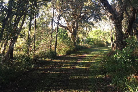 Coffs Harbour To Sawtell Bike Ride - Accommodation Kalgoorlie 7