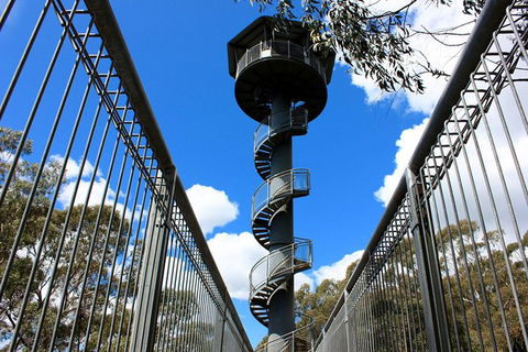 Illawarra Fly Treetop Adventures Admission Including Zipline Tour - Accommodation Kalgoorlie 3