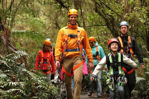Illawarra Fly Treetop Adventures Admission Including Zipline Tour - Accommodation Kalgoorlie 1