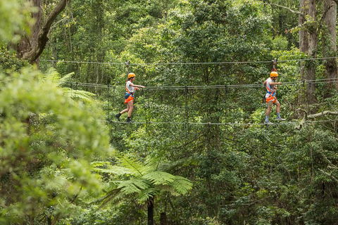 Illawarra Fly Treetop Adventures Admission Including Zipline Tour - Accommodation Kalgoorlie 0