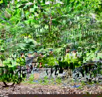 Guided E Bike Tour - Hells Hole Pools  Rainforest - Accommodation Kalgoorlie