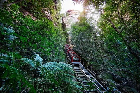 All-Inclusive Blue Mountains Tour In A Luxury Mercedes Sprinter - Accommodation Kalgoorlie 8