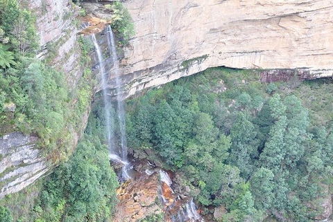 All-Inclusive Blue Mountains Tour In A Luxury Mercedes Sprinter - Accommodation Kalgoorlie 9