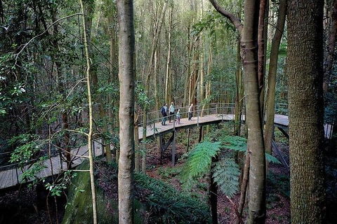 All-Inclusive Blue Mountains Tour In A Luxury Mercedes Sprinter - Accommodation Kalgoorlie 13