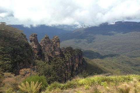 All-Inclusive Blue Mountains Tour In A Luxury Mercedes Sprinter - Accommodation Kalgoorlie 3