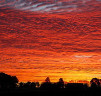 Private Full-Day Wine Tour in Hunter Valley - Accommodation Kalgoorlie