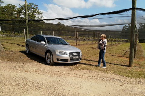 The Secret Vines Experience Port Macquarie - Accommodation Kalgoorlie 0