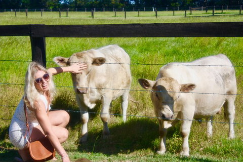 Hipster Sipster Brewery & Distillery Tour - Northern NSW - Accommodation Kalgoorlie 8