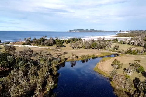 Coffee Farm Tour And Workshop, Byron Bay Hinterland - Accommodation Kalgoorlie 3