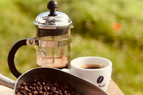 Coffee Farm Tour And Workshop, Byron Bay Hinterland - Accommodation Kalgoorlie 0