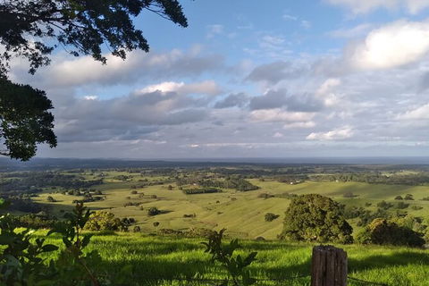 Coffee Farm Tour And Workshop, Byron Bay Hinterland - Accommodation Kalgoorlie 4