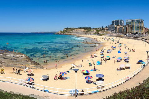 Newcastle Scenic Explorer - 2 Hour Tour By Minibus - Accommodation Kalgoorlie 16