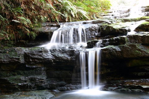 Private 10-hour Tour To Blue Mountains From Sydney - Hotel Pick Up & Drop Off - Accommodation Kalgoorlie 6