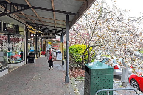 Blue Mountains Highlights & Wildlife Park - Accommodation Kalgoorlie 2
