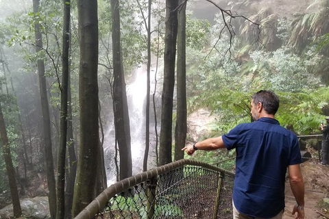 Blue Mountains Highlights, Wildlife Park And Scenic World Full Day Private Tour - Accommodation Kalgoorlie 6