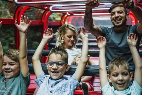 Blue Mountains Highlights, Wildlife Park And Scenic World Full Day Private Tour - Accommodation Kalgoorlie 5