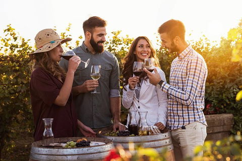 Hunter Valley Highlights Private Wine Tour From Sydney - Accommodation Kalgoorlie 0