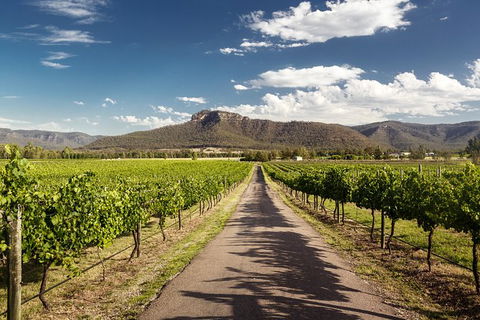 Hunter Valley Highlights Private Wine Tour From Sydney - Accommodation Kalgoorlie 2