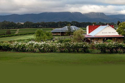 Hunter Valley Highlights Private Wine Tour From Sydney - Accommodation Kalgoorlie 5