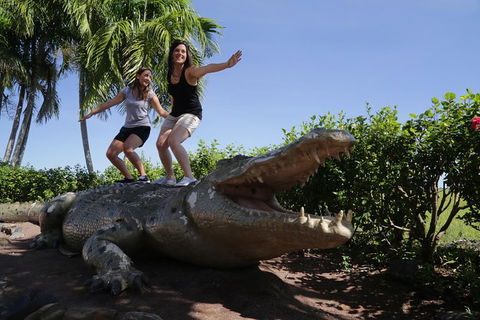 Jumping Crocs & Nature Adventure Cruise From Darwin - Accommodation Kalgoorlie 5