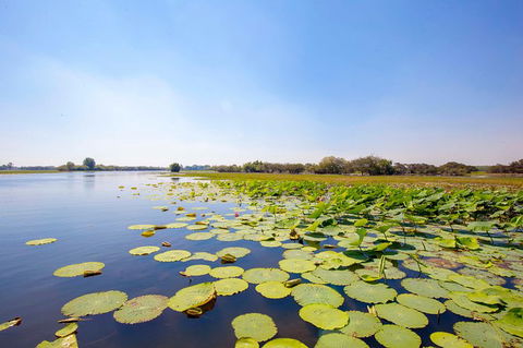 Jumping Crocs & Nature Adventure Cruise From Darwin - Accommodation Kalgoorlie 8