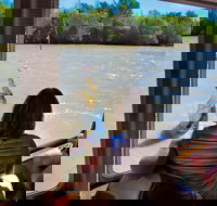 Jumping Crocs  Nature Adventure Cruise from Darwin - Accommodation Kalgoorlie