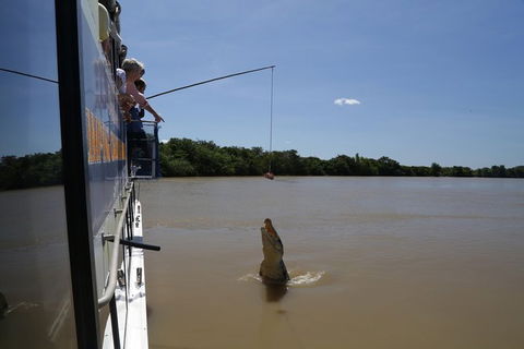 Darwin City Sights And Jumping Crocodile Cruise - Accommodation Kalgoorlie 2