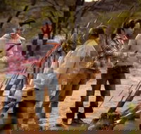 Karrke Aboriginal Cultural Experience - Accommodation Kalgoorlie