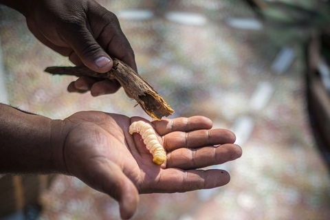 Karrke Aboriginal Cultural Experience - Accommodation Kalgoorlie 4