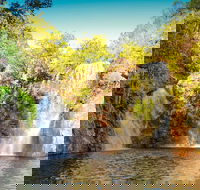 Litchfield National Park Waterfalls Day Trip From Darwin Including Termite Mounds and Lunch - Accommodation Kalgoorlie