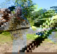 Kakadu  Arnhem Land tour Camping tour - Accommodation Kalgoorlie
