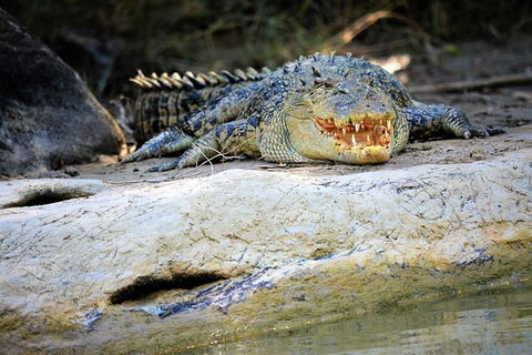 Ethical Adventures - Kakadu 2 Day- Max 10 Guests - Accommodation Kalgoorlie 3