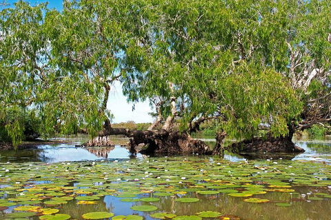 Ethical Adventures - Kakadu 2 Day- Max 10 Guests - Accommodation Kalgoorlie 10