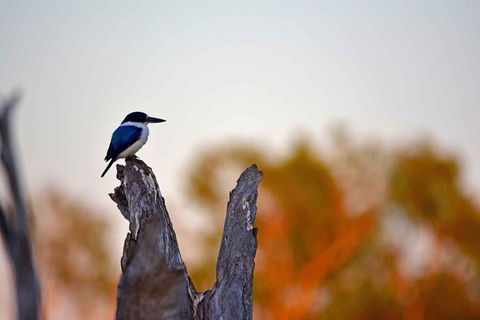 Ethical Adventures - Kakadu 2 Day- Max 10 Guests - Accommodation Kalgoorlie 4
