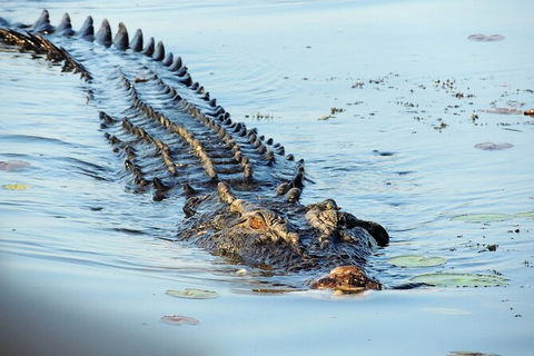 Ethical Adventures - Kakadu 2 Day- Max 10 Guests - Accommodation Kalgoorlie 8