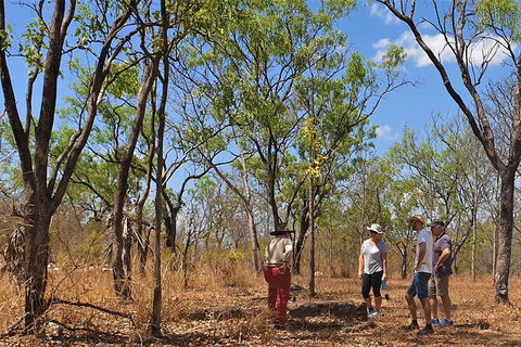 World War II Beyond Darwin - Accommodation Kalgoorlie 4