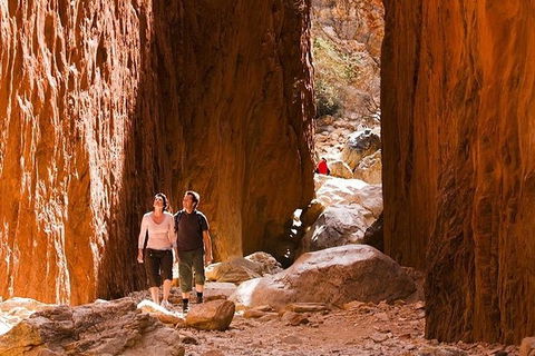 Alice Springs, Uluru Ayers Rock & Kings Canyon 8 Days Touring Package - Accommodation Kalgoorlie 5
