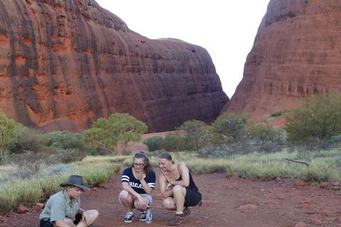 5-Hour Kata Tjuta Sunrise Tour From Ayers Rock With Breakfast - Accommodation Kalgoorlie 3