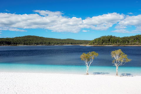 All-Inclusive Fraser Island Day Tour - Accommodation Kalgoorlie 2