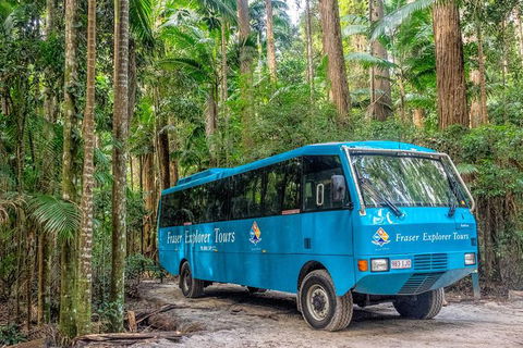 All-Inclusive Fraser Island Day Tour - Accommodation Kalgoorlie 0