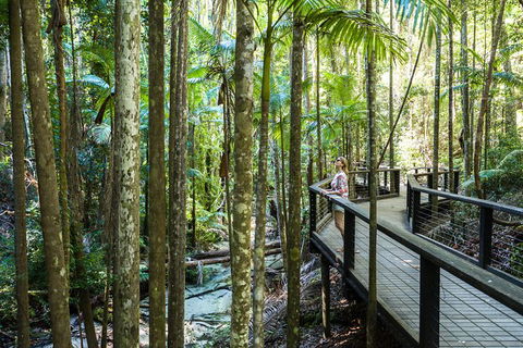All-Inclusive Fraser Island Day Tour - Accommodation Kalgoorlie 7