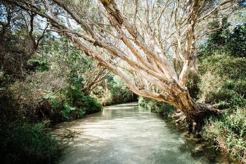 All-Inclusive Fraser Island Day Tour - Accommodation Kalgoorlie 5