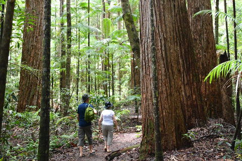 All-Inclusive Fraser Island Day Tour - Accommodation Kalgoorlie 6