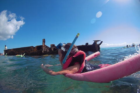 All Inclusive Dolphin And Tangalooma Wrecks Cruise - Accommodation Kalgoorlie 8
