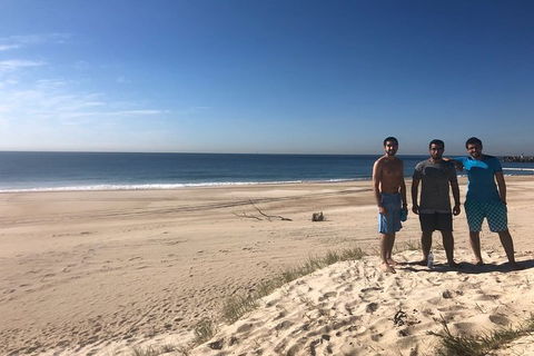 Half Day Dolphin Kayaking And Snorkeling Tour - Accommodation Kalgoorlie 8
