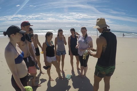 Half Day Dolphin Kayaking And Snorkeling Tour - Accommodation Kalgoorlie 6