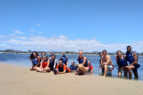 Half Day Dolphin Kayaking And Snorkeling Tour - Accommodation Kalgoorlie 9