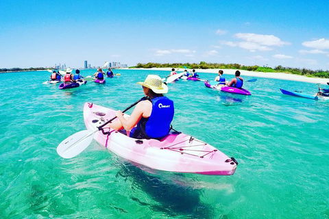 Half Day Dolphin Kayaking And Snorkeling Tour - Accommodation Kalgoorlie 0
