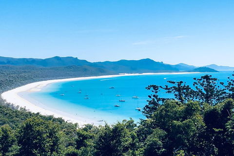Full-Day Whitsunday Tour: Whitehaven Beach And Hill Inlet With BBQ - Accommodation Kalgoorlie 6