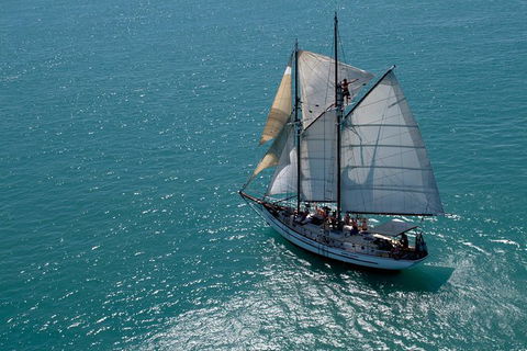 Whitehaven Beach Sailing And Snorkeling Cruise - Accommodation Kalgoorlie 5